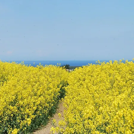 Geraeumige An Der Ostsee Ravensberg